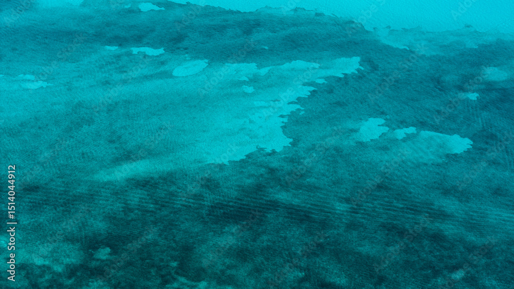 Fototapeta premium Aerial view of the waters of the Riviera Maya beaches, beautiful blues and a sunny day with space for copy.
