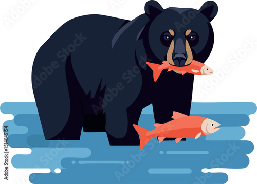 Black bear catching salmon fish in river water natural wildlife vector illustration 