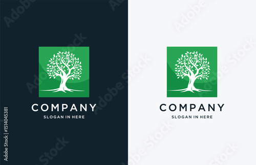 Tree  Modern logo design with square  for business