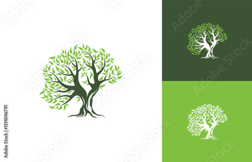 Abstract tree , root logo design inspiration 