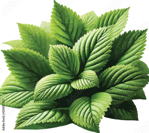 Vibrant watercolor illustration of a lush green leafy plant for botanical and nature concepts