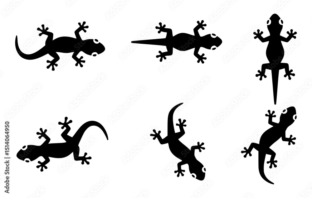 Silhouette of Geckos in Various Poses Silhouette of Geckos in Various Poses