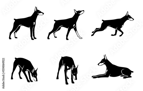 Silhouetted Doberman Pinschers in Various Poses