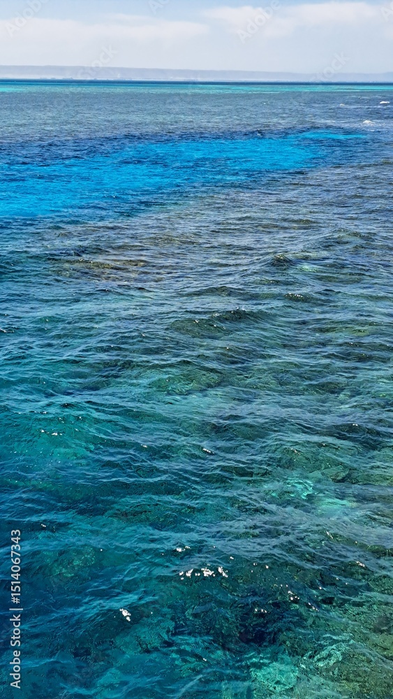 Obraz premium Vibrant turquoise ocean waves gently lap against rocky seabed, showcasing the beauty of marine life and underwater textures in a serene coastal environment