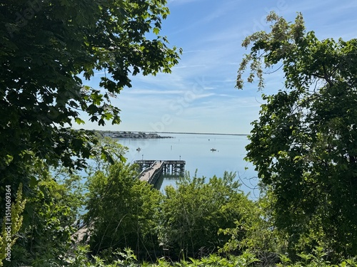 pier surrounded by trees