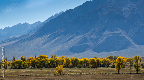 Autumn in the meadow close to Death Valley National Park in November