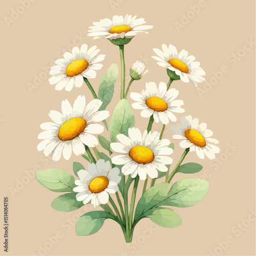 bouquet of daisies
