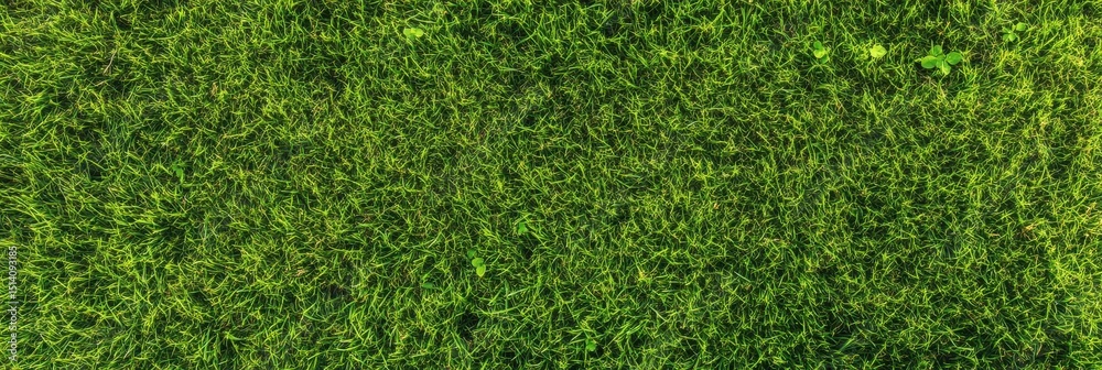 Obraz premium Lush green grass texture perfect for nature and outdoor themes