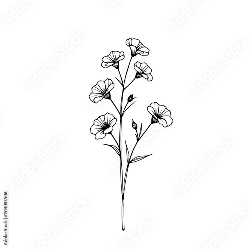 Elegant and minimalist line drawing of delicate flower blossoms and slender stems, perfect for botanical illustrations, enhancing any design. 