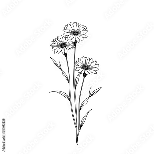 An elegant monochrome illustration of daisies, featuring intricate details, artistic simplicity, and botanical beauty.