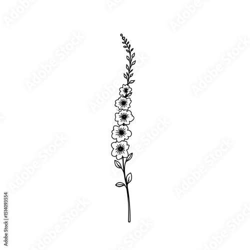 Botanical illustration of a blooming flower stalk.
