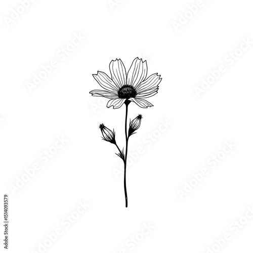 An elegant, minimalistic botanical illustration of a daisy flower, showcasing delicate line work and the simple beauty of nature's design.