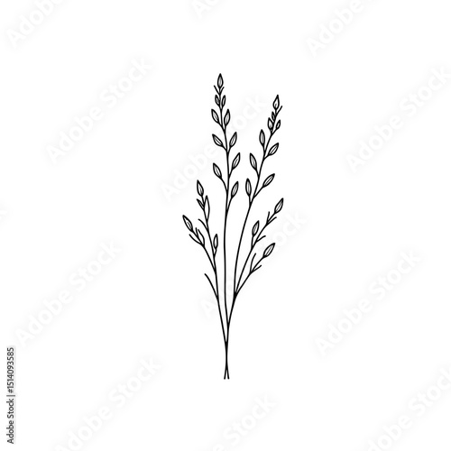 An elegant illustration of delicate botanical line art of lavender plant, creating a sense of tranquility. Ideal for a variety of design projects.