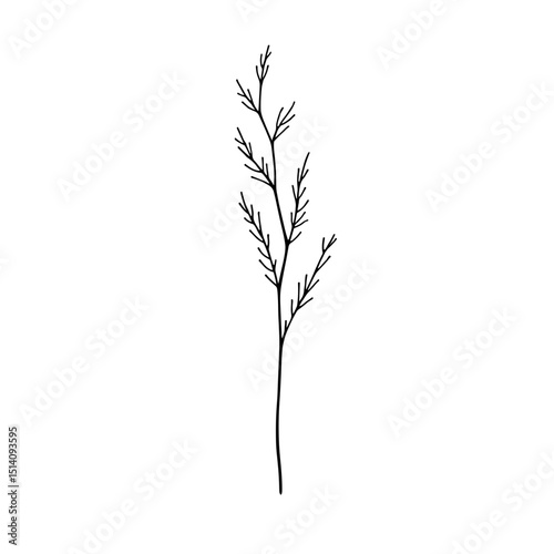 A delicate hand-drawn illustration of a slender, stylized stem and leaf. A minimalist and refined nature sketch.