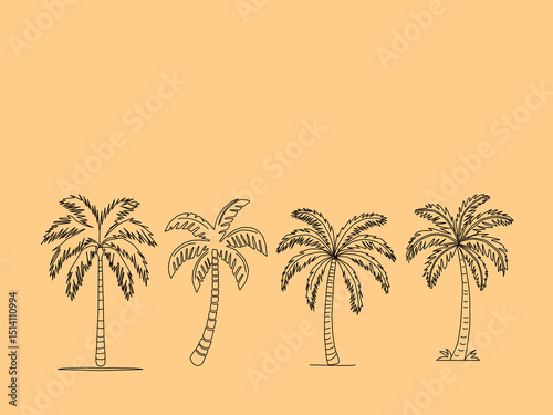 vector illustration of a palm tree. Palm tree vector. Palm tree silhoutte. Tropical palm tree.Vector set of hand-drawn palm trees in black and white outline.Minimal tropical design perfect for summer.