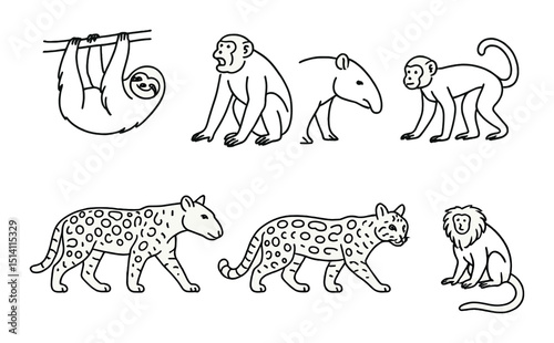 Rainforest mammals linear icons set – outline, jungle and wildlife symbols
