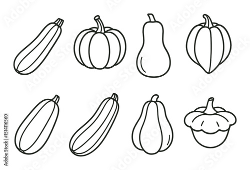 Gourd and squash linear icons set – outline, vegetable and autumn harvest symbols