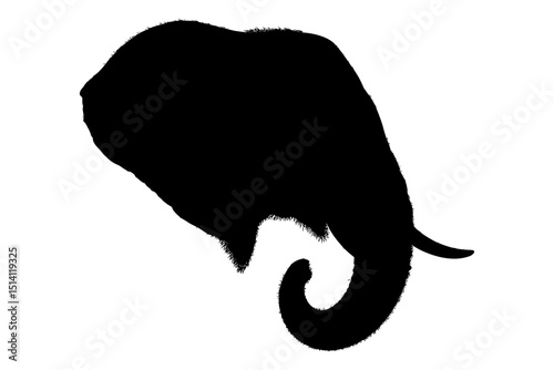 elephant head silhouette