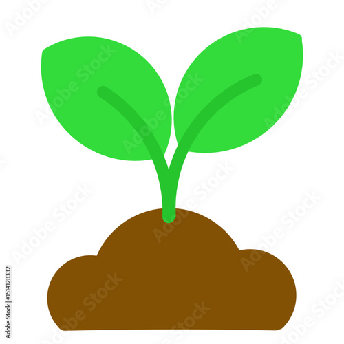 tree with roots