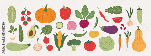 Vector doodle big set of vegetables. Elements for healthy food design.