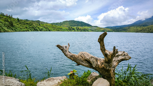 Foto Driftwood by the calm Danau Talang lake with green hills and cloudy sky in the background, offering a serene natural landscape