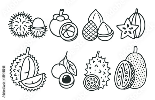 Exotic fruit outline icons set – simple, tropical and botanical symbol collection
