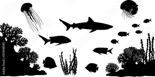 sea animals, fish, algae set silhouette ,on white background, vector
