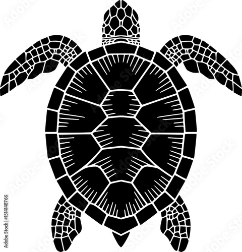 turtle top view silhouette on white background vector
