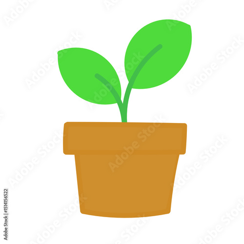 green plant in a pot