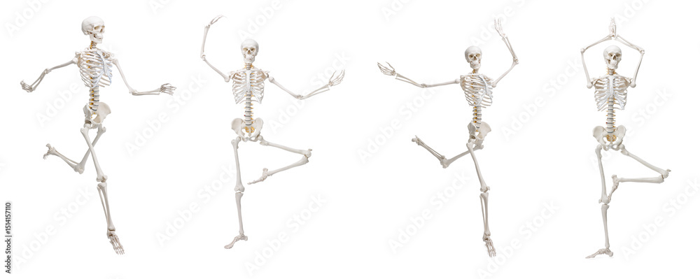 Φωτογραφία Artificial human skeleton model in different poses isolated on white, set