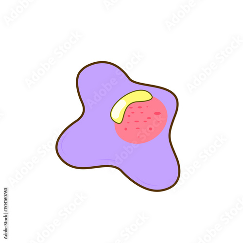 Granulocyte Cell Vector