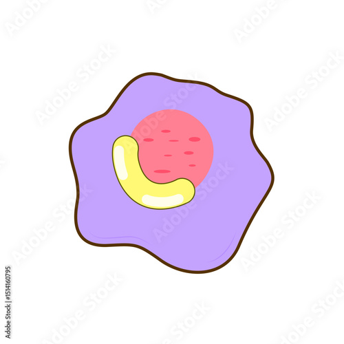 Granulocyte Cell Vector