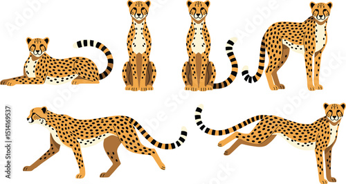 Cheetah collection. Vector illustration of cartoon cheetah in various actions: lies, sitting, standing, walking, and running. Isolated on white