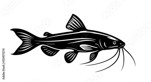 vector illustration of a catfish