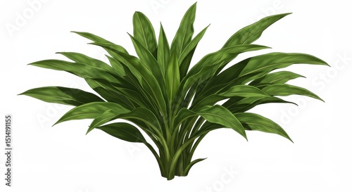 Illustration Green Plant Lush Botanical Foliage Detailed Vegetation Herb