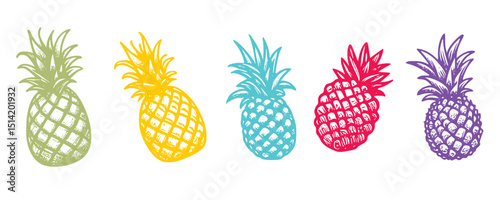 vector illustration of a pineapple
