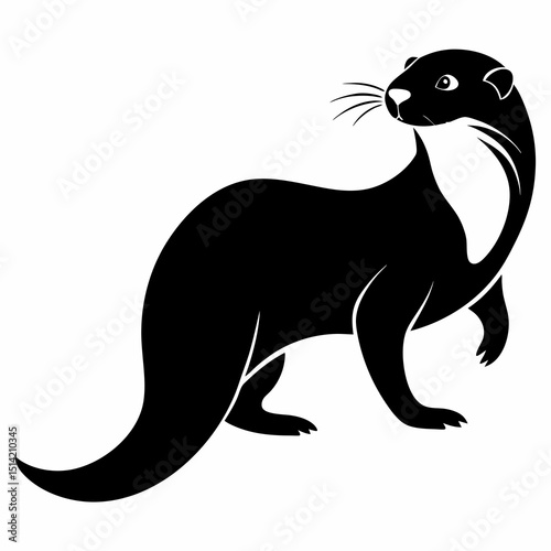 Otter on white background 