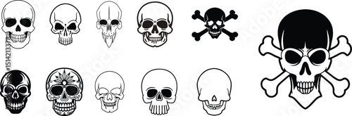 Human skull illustration.