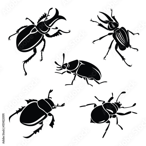 beetle icon set of 5 silhouette icon vector on white