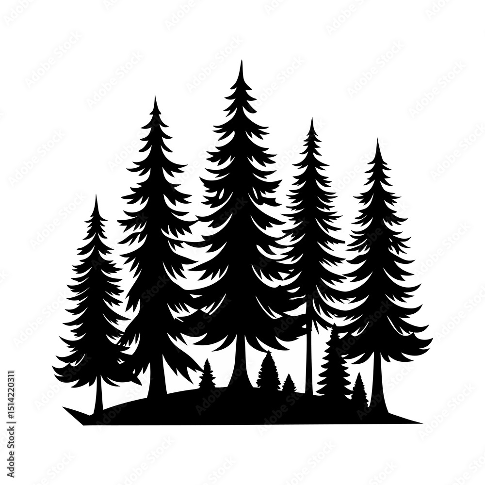Obraz premium Pine Forest Silhouette
