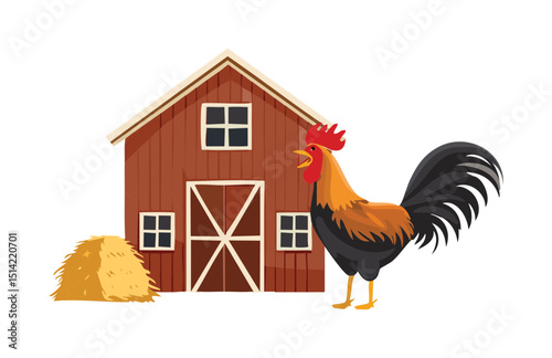 Farm Rooster Standing by Red Barn