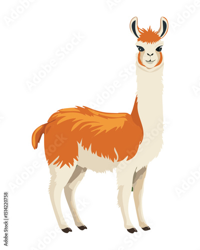 Brown and White Llama Standing Tall