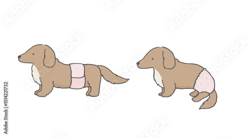 おむつをしているダックスフンドのイラスト