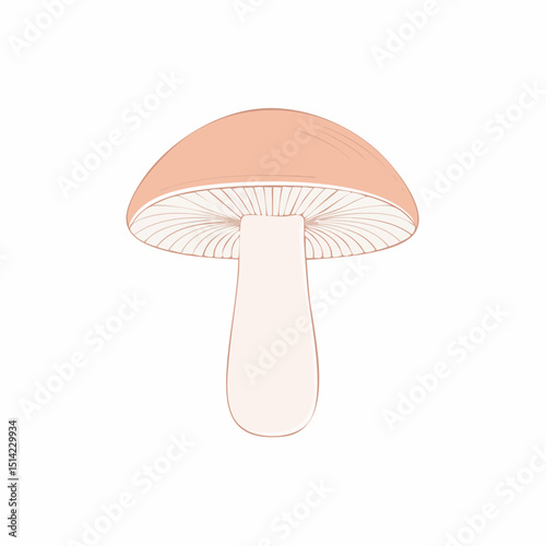 Stylized mushroom in soft tones, ideal for natural food branding.