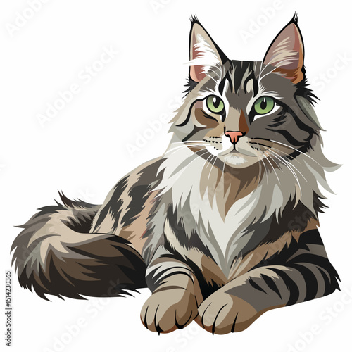 Long-Haired Cat Vector – Norwegian Forest Breed Illustration