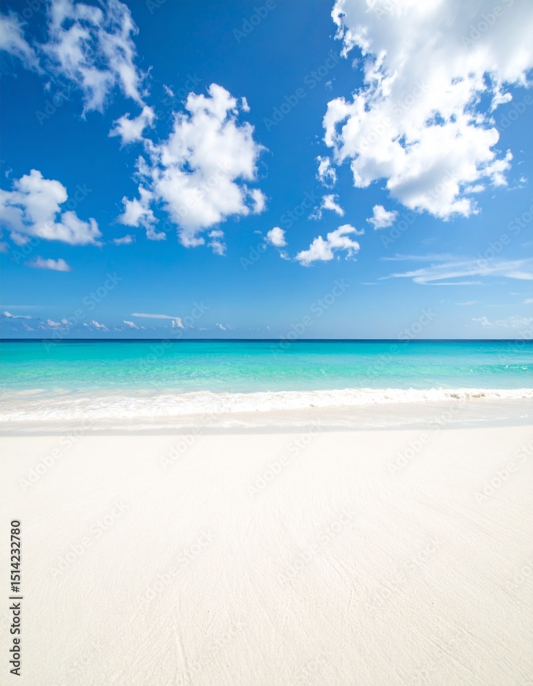 Fototapeta premium 真夏のイメージカット