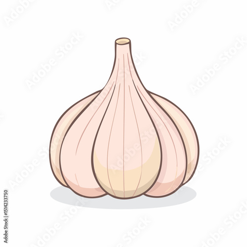 Single garlic bulb in soft tones with gentle, clean lines for food packaging.