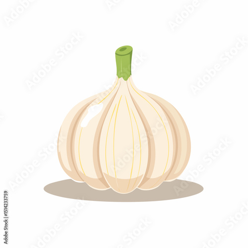Single garlic bulb in soft tones with gentle, clean lines for food packaging.