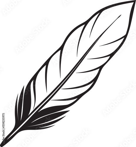 feather on white background