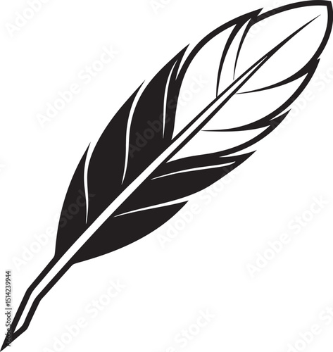 feather on white background